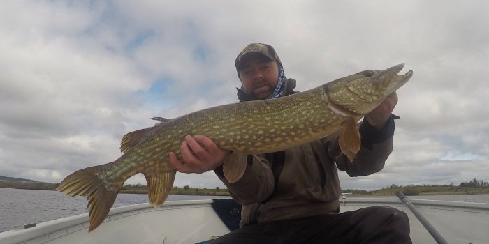 Pike , Trout Perch Fishing Trips North West of Ireland