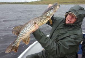 Irish Pike for our french visitors 